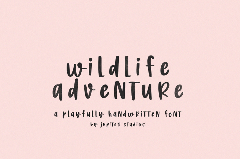 wildlife-adventure-font-rough-fonts-instagram-fonts-procreate-fonts