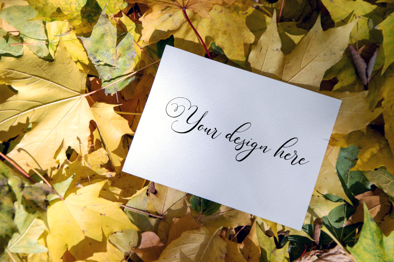 7x5-autumn-card-mockup-fall-mockup-greeting-card-psd-mockup-invitat