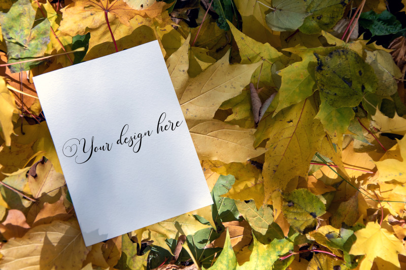 5x7-autumn-card-mockup-fall-mockup-greeting-card-psd-mockup-invitat