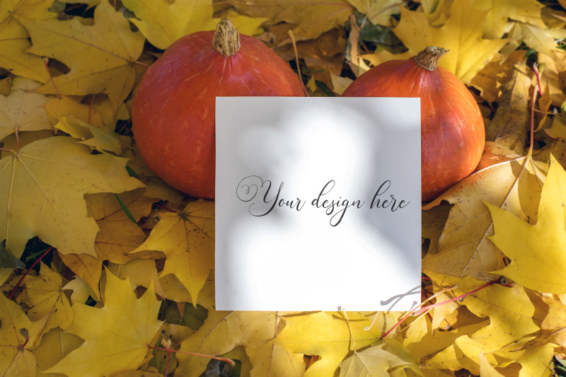 5x5-autumn-card-mockup-fall-mockup-greeting-card-psd-mockup-invitat