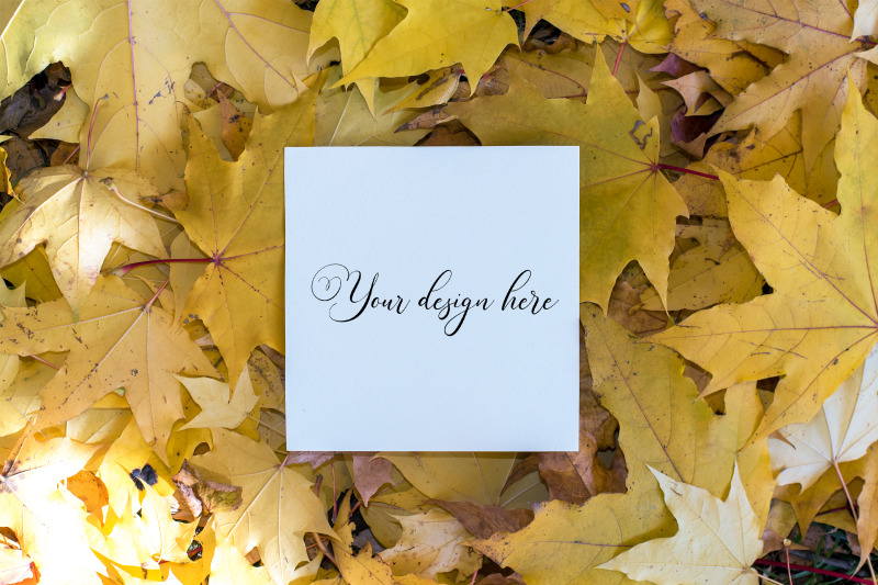 5x5-autumn-card-mockup-fall-mockup-greeting-card-psd-mockup-invitat