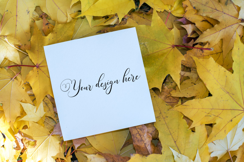 5x5-autumn-card-mockup-fall-mockup-greeting-card-psd-mockup-invitat