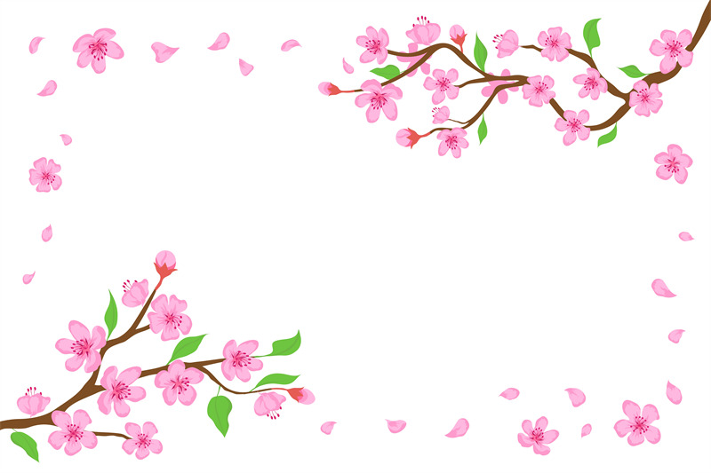 cartoon-japanese-cherry-blossom-and-falling-petals-background-sakura