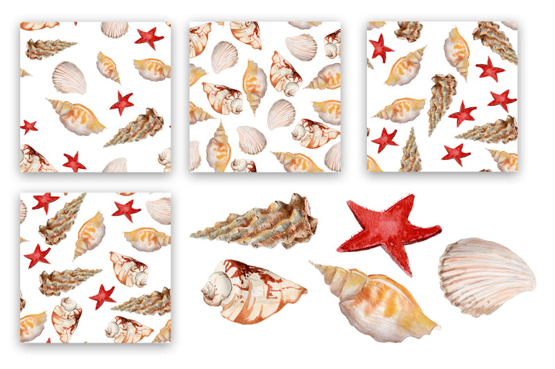 watercolor-shells-patterns