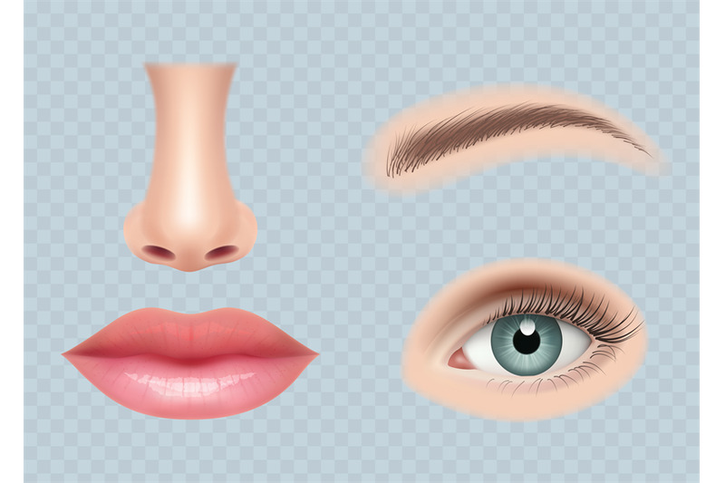 face-parts-realistic-human-body-eyes-ear-nose-and-mouth-vector-pictur