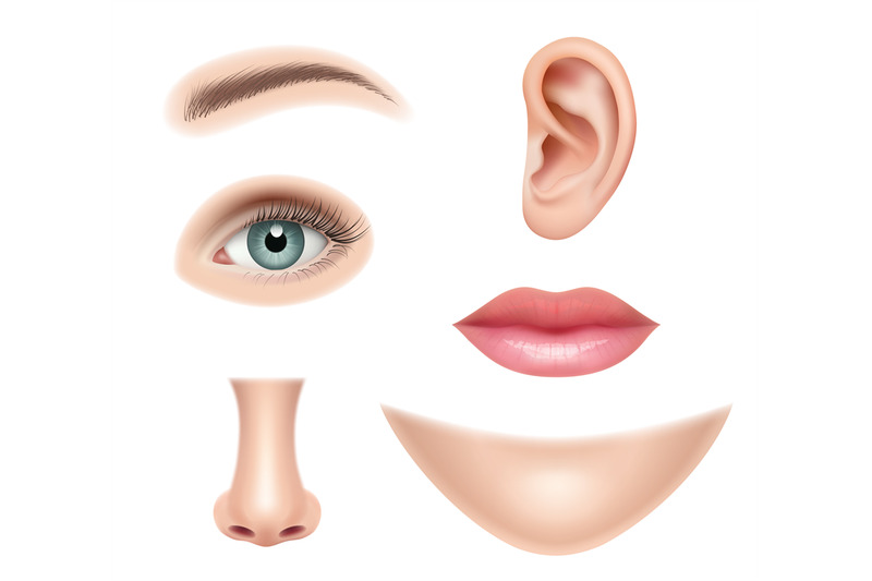 face-realistic-human-parts-nose-head-eyes-mouth-vector-pictures-colle