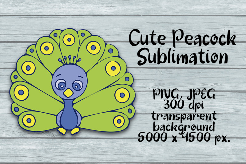 cute-peacock-sublimation-png-design-animal-clipart