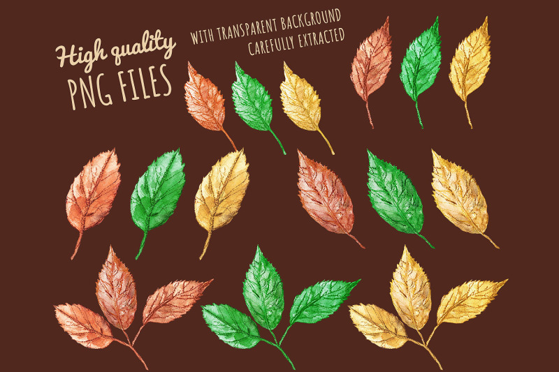 leaves-hand-painted-watercolor-clipart