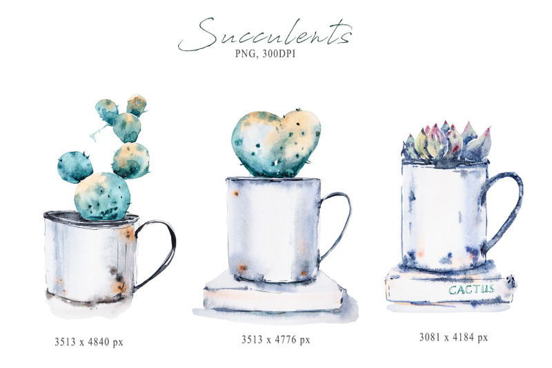 watercolor-potted-succulent-sublimation-cactus-clipart