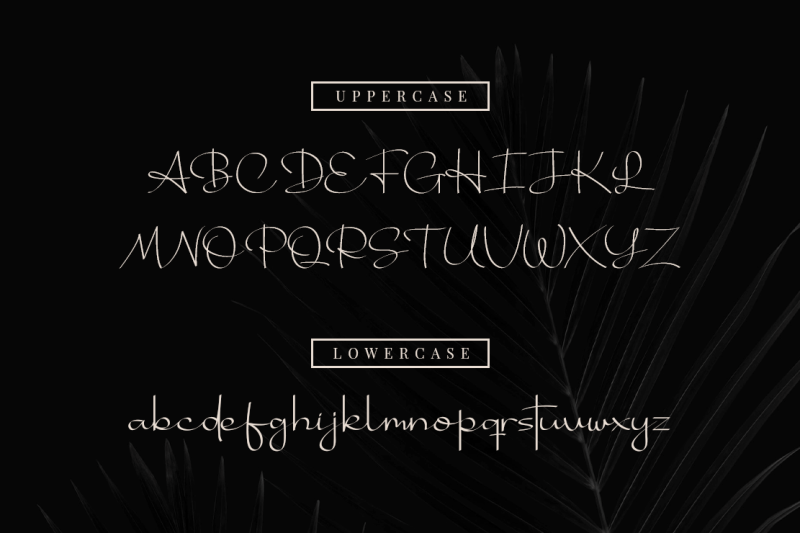 bhotten-script-modern-calligraphy-fonts