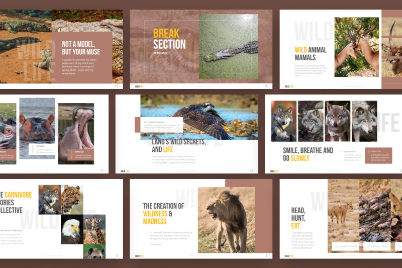 wild-life-nature-professional-powerpoint-template
