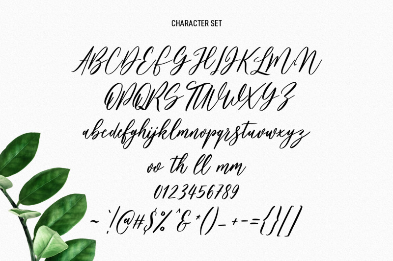 bankports-signature-sript-font