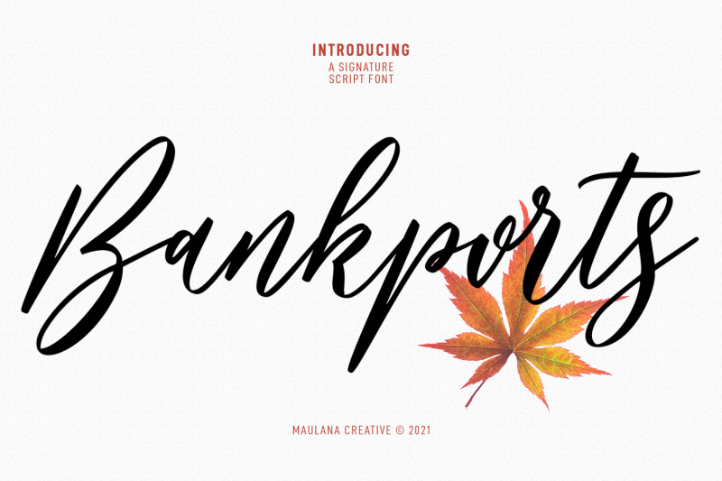 bankports-signature-sript-font