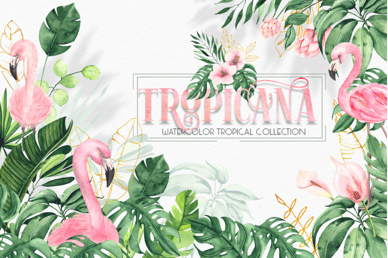 watercolor-tropical-collection