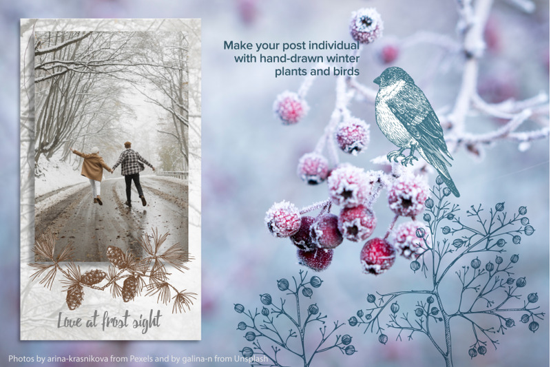 hand-drawn-winter-plants-and-birds