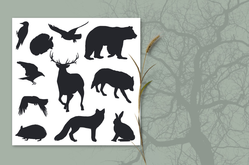 wild-forest-vector-collection