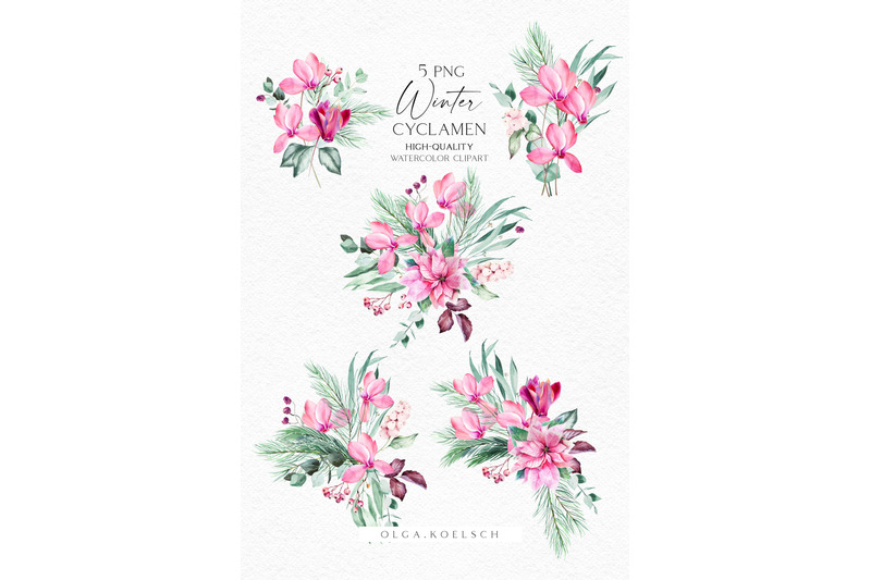 watercolor-pink-christmas-flowers-clipart-winter-greenery-cyclamen-floral-png-winter-flowers-for-baby-shower-and-christmas-diy-075