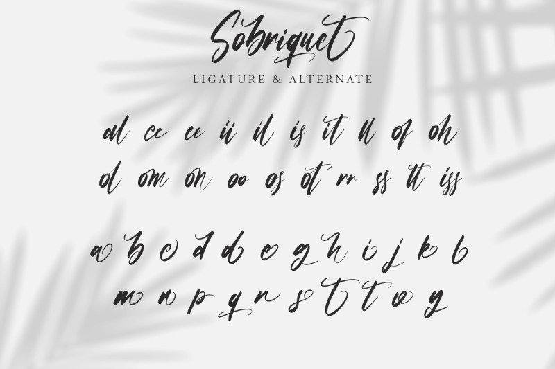 sobriquet-modern-calligraphy-font