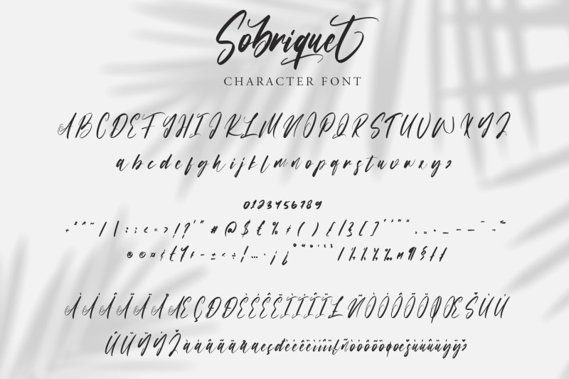 sobriquet-modern-calligraphy-font