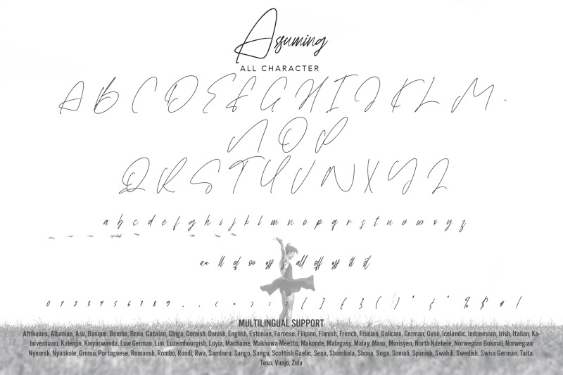 assuming-signature-font