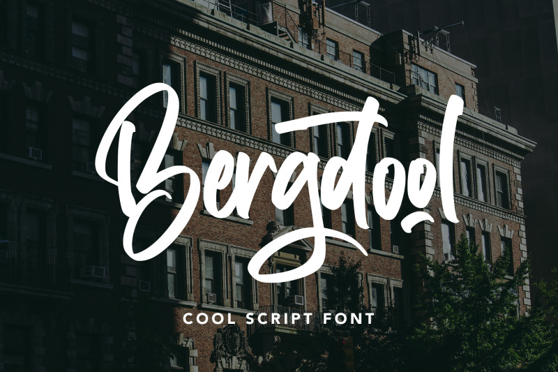 bergdool-cool-script-font