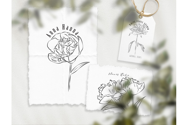 peony-flower-line-art-clipart-hand-drawn-png-eps-outline