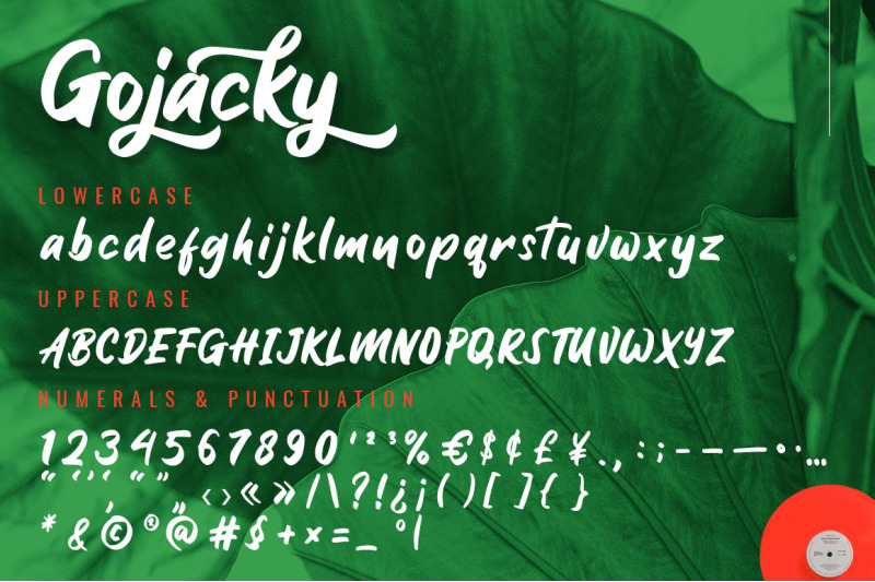 gojacky-bold-script-font