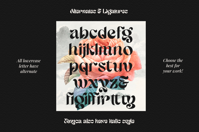 etnyca-stylish-serif-typeface