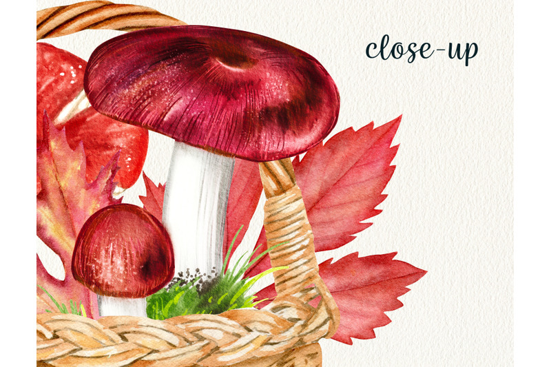 watercolor-mushrooms-in-basket-clipart-forest-fungi-autumn-mushrooms