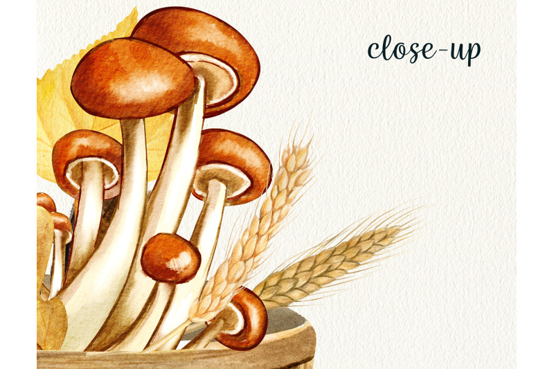 watercolor-mushrooms-in-basket-clipart-forest-fungi-autumn-mushrooms
