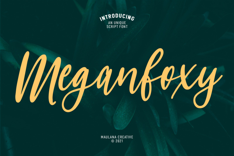 meganfoxy-script-font