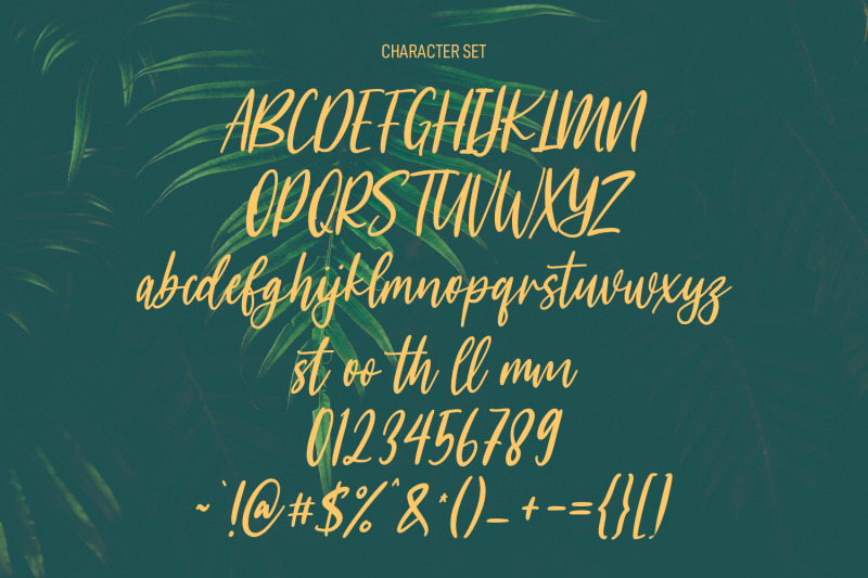 meganfoxy-script-font