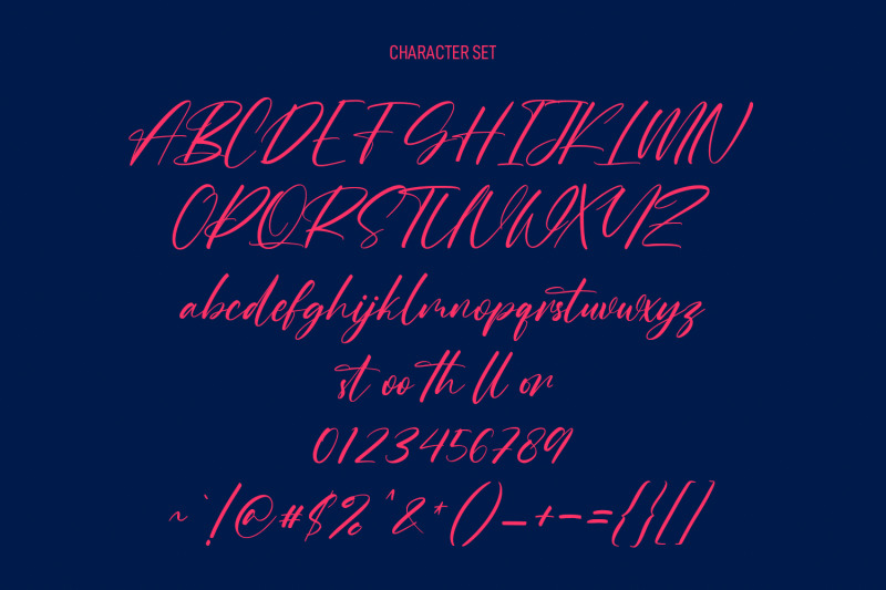 roche-shirt-script-font