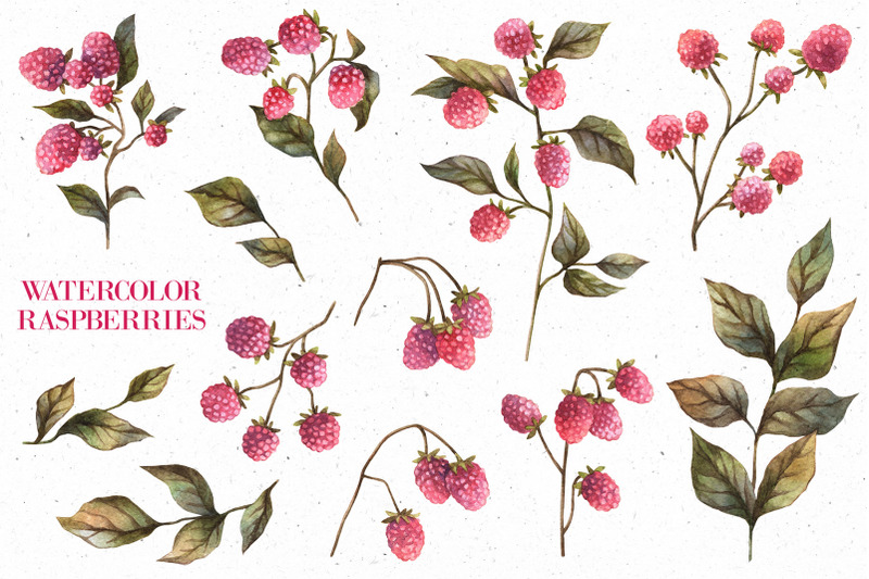 herbal-tea-watercolor-illustrations