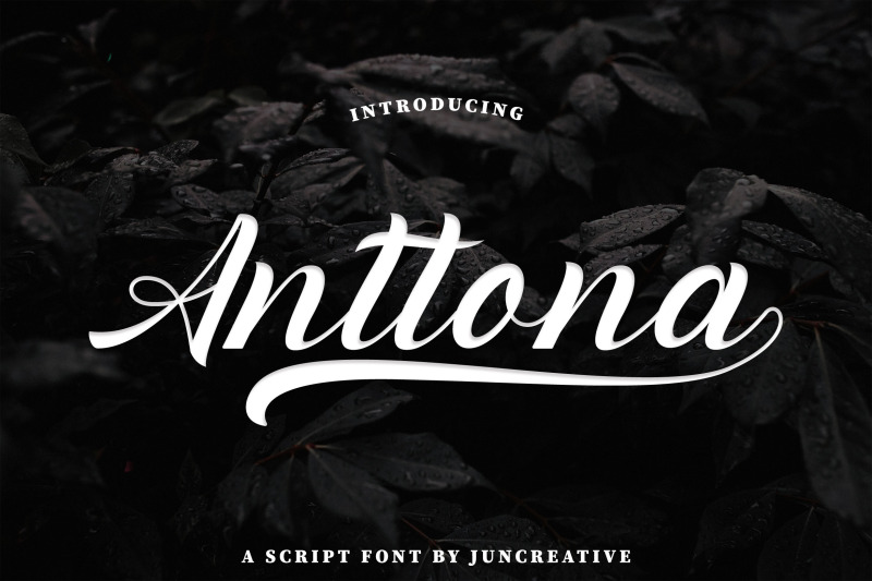 anttona-bold-script