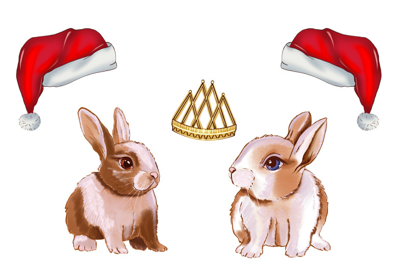 christmas-animals-clipart-christmas-clipart-sublimation-png