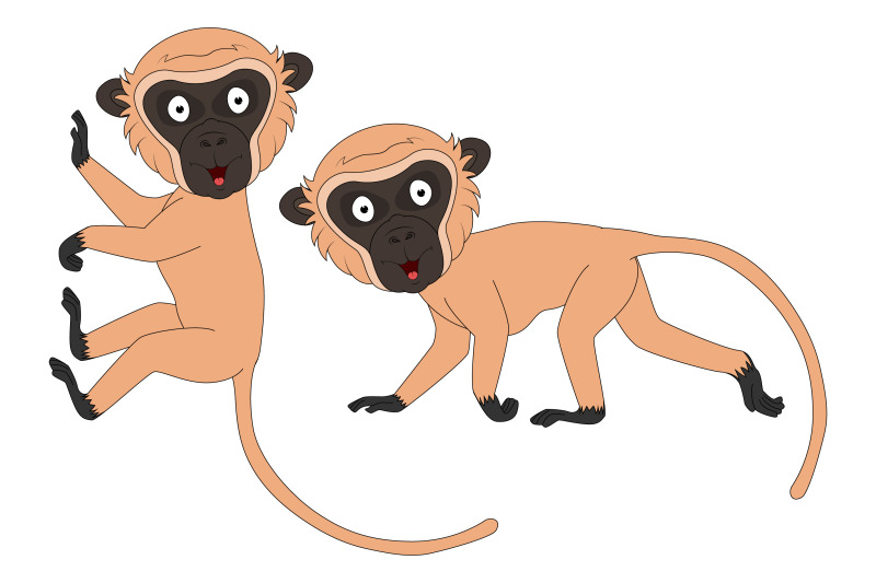 cute-vervet-monkey-animal-cartoon