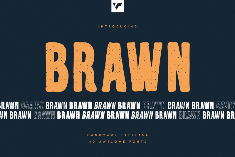 brawn-handwritten-typeface-40-fonts