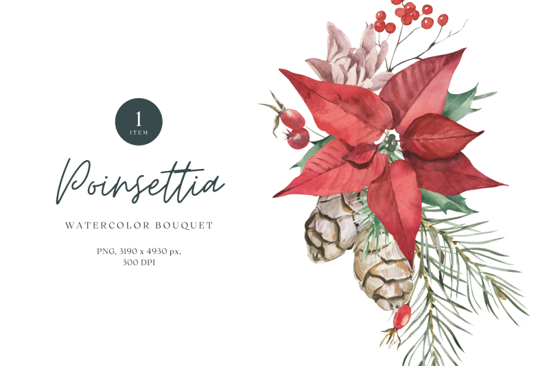 watercolor-poinsettia-bouquet