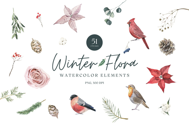 winter-flora-watercolor-elements