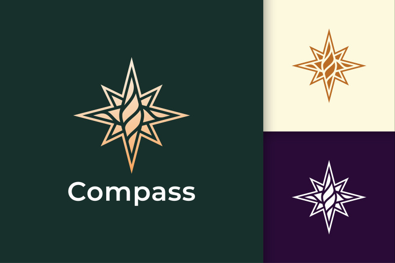 compass-logo-in-modern-and-luxury-style