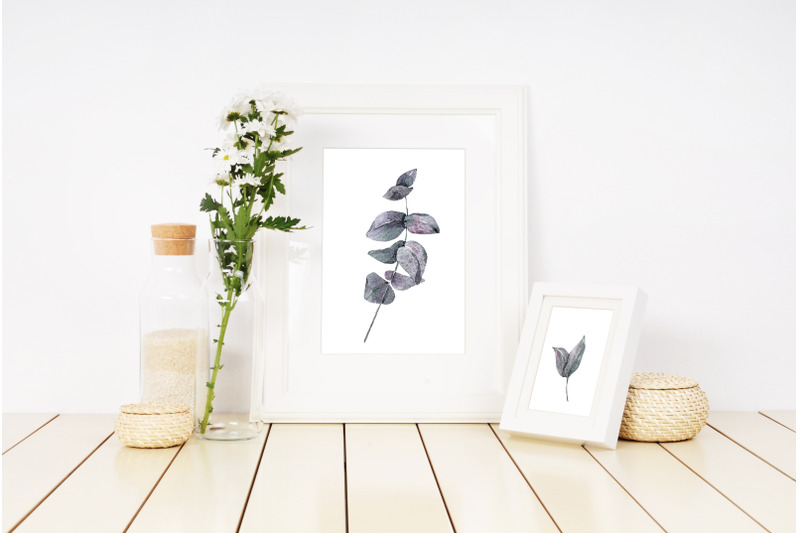 watercolor-eucalyptus-leaves-clipart-11-png-files