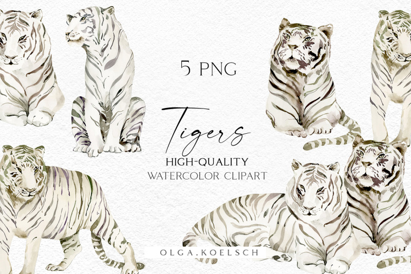 watercolor-tiger-clipart-boho-tropical-animals-png-2022-year-symbol