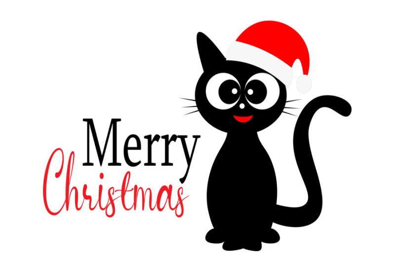 Christmas cat svg, Cute cat svg, cat svg, christmas svg, clipart, funn