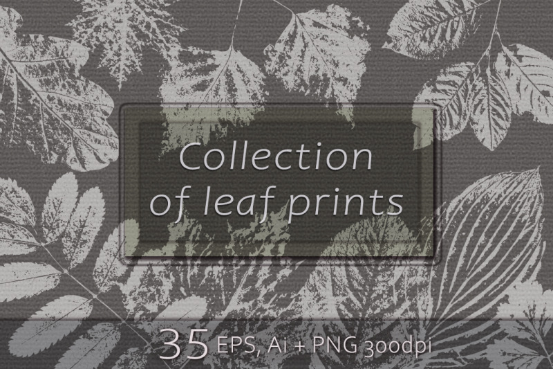 collection-of-leaf-prints