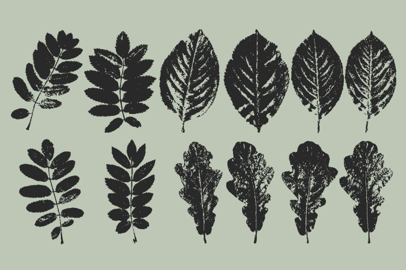 collection-of-leaf-prints