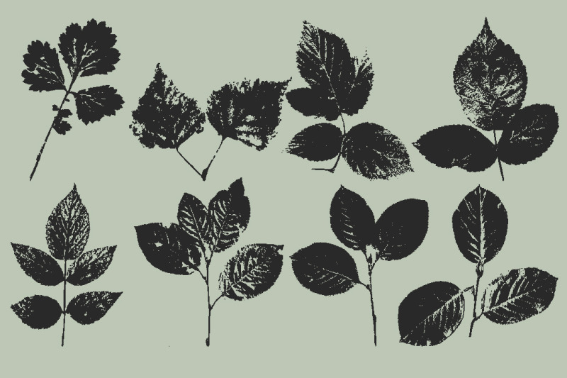 collection-of-leaf-prints