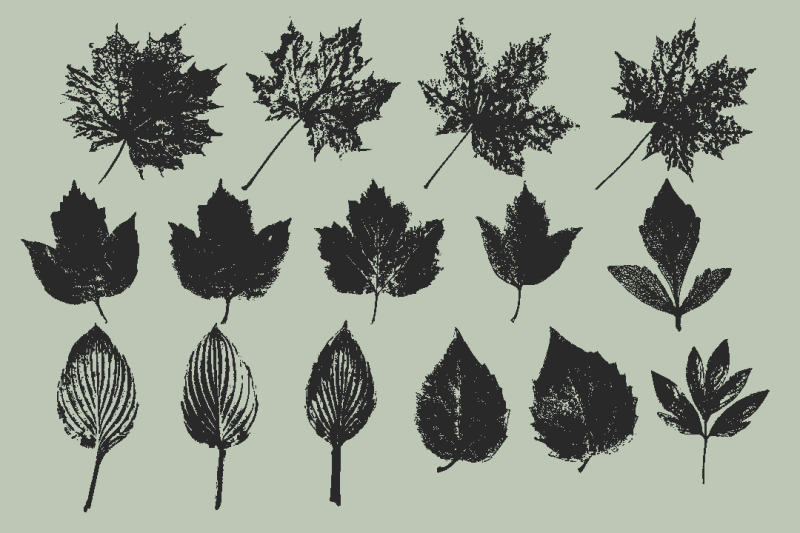 collection-of-leaf-prints