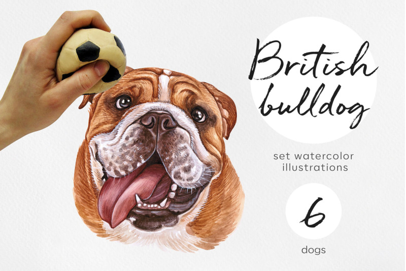 british-bulldog-watercolor-dog-illustrations-cute-6-dogs
