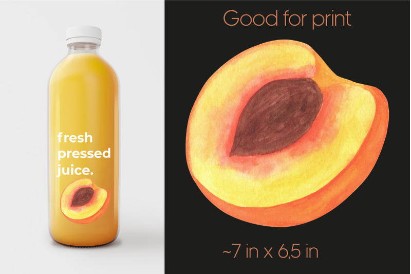 peach-fruit-watercolor-clipart-png
